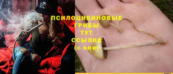 соль ск Гусев