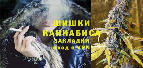 МДПВ Дмитриев
