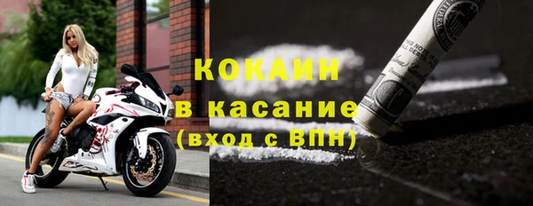 МДПВ Дмитриев