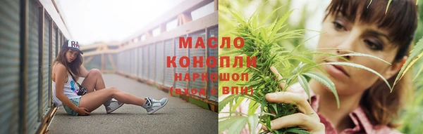 МДПВ Дмитриев