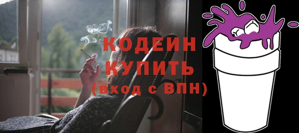 МДПВ Дмитриев