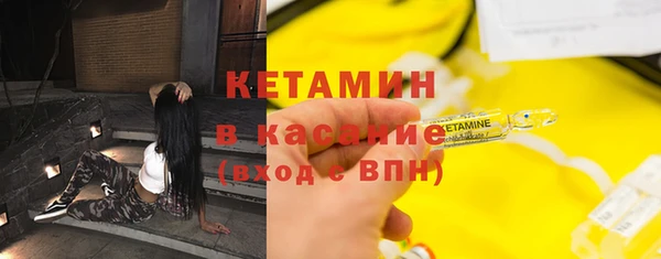 гашик Дмитров