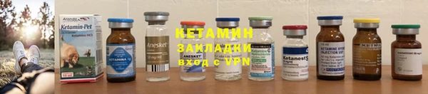 гашик Дмитров
