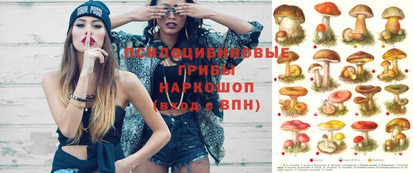 МДПВ Гусиноозёрск