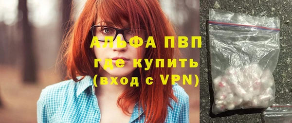 гашик Дмитров