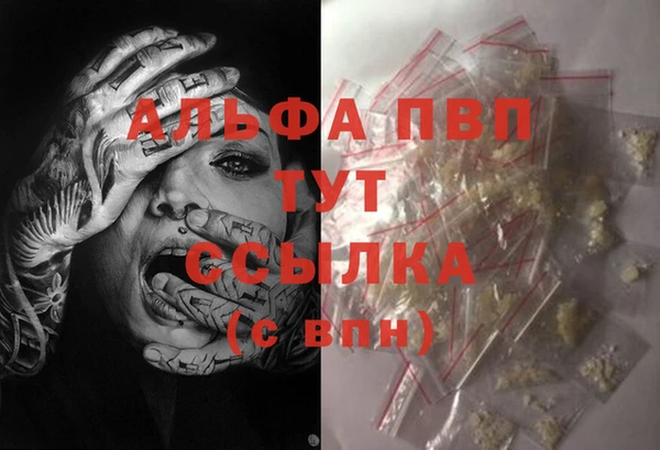 МДПВ Дмитриев
