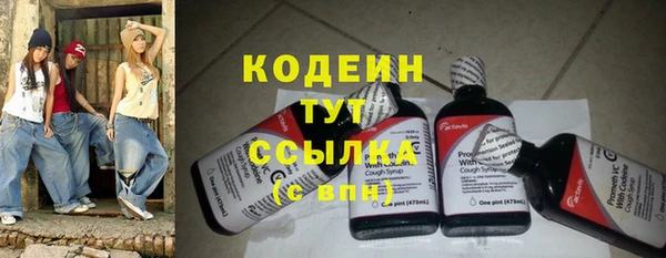 гашик Дмитров