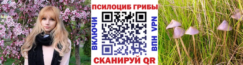 Галлюциногенные грибы ЛСД  где найти наркотики  Владимир 